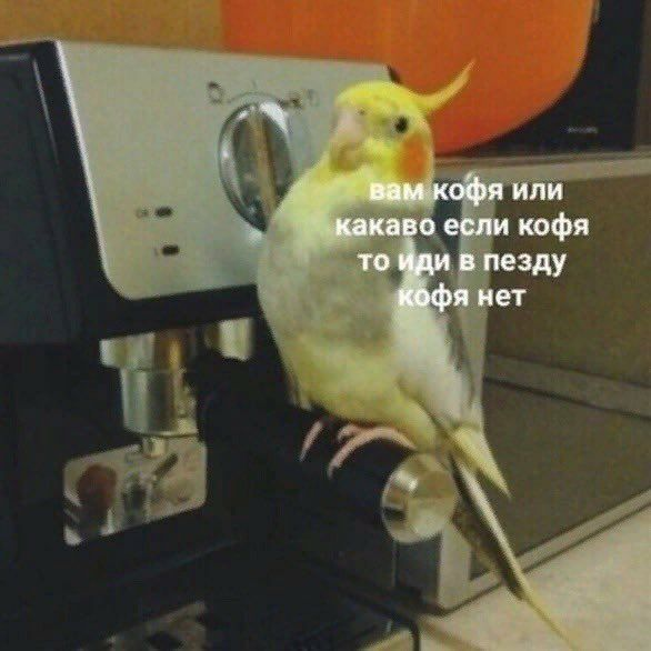 https://upforme.ru/uploads/001b/2a/fc/14/602633.png