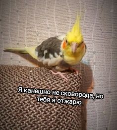https://upforme.ru/uploads/001b/2a/fc/14/617735.jpg