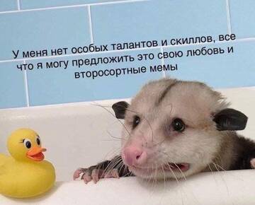 https://upforme.ru/uploads/001b/2a/fc/23/t759046.jpg