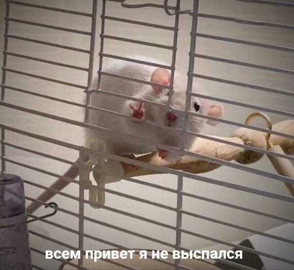 https://upforme.ru/uploads/001b/2a/fc/25/t511535.jpg