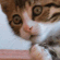 https://upforme.ru/uploads/001b/2c/35/1003/370471.gif