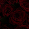 https://upforme.ru/uploads/001b/2e/0d/102/241759.png