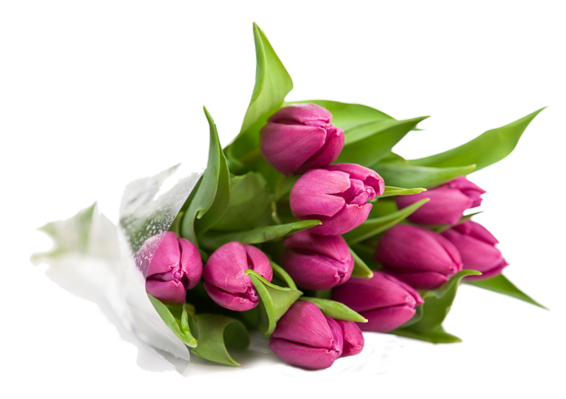 https://upforme.ru/uploads/001b/2e/23/12/527108.png