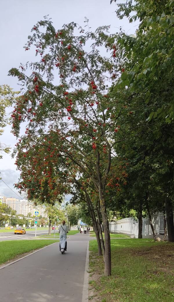 https://upforme.ru/uploads/001b/2e/23/12/t502998.jpg