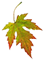 https://upforme.ru/uploads/001b/2e/23/12/t569711.png