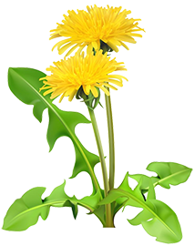 https://upforme.ru/uploads/001b/2e/23/12/t739448.png