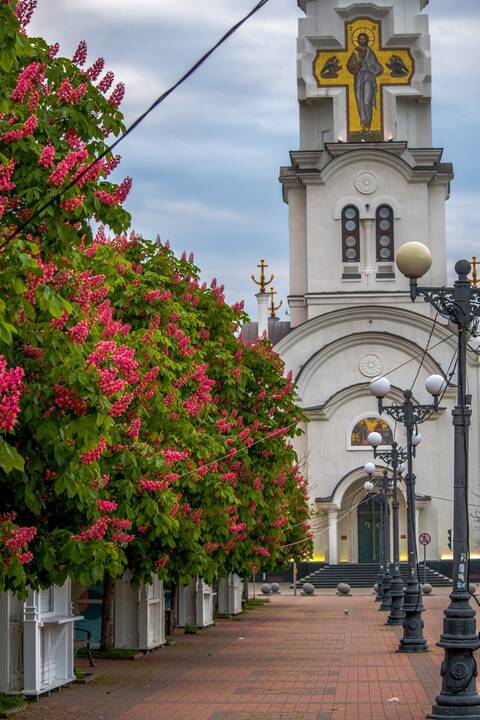 https://upforme.ru/uploads/001b/2e/23/16/t266615.jpg