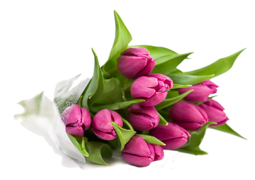 https://upforme.ru/uploads/001b/2e/23/53/t305637.png