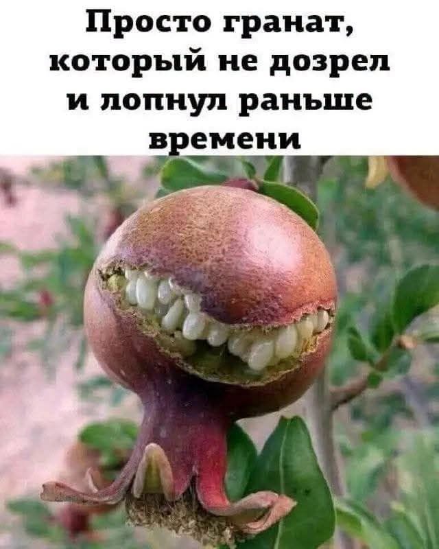 https://upforme.ru/uploads/001b/2e/23/63/636402.jpg