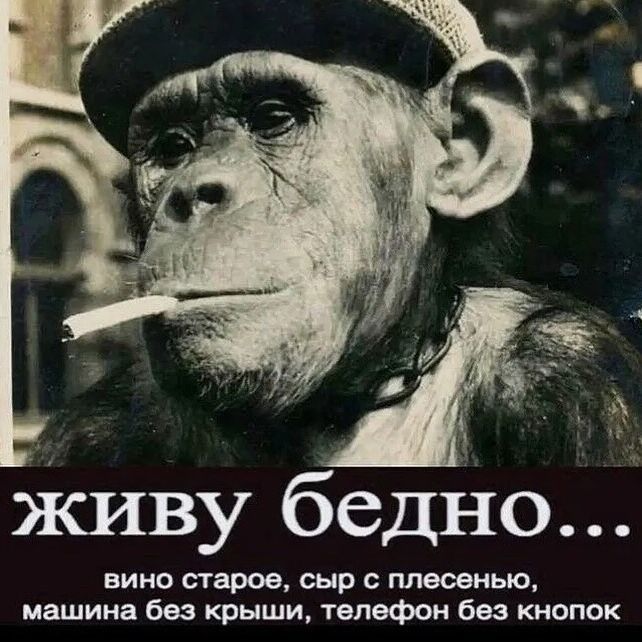 https://upforme.ru/uploads/001b/2e/23/74/729837.jpg