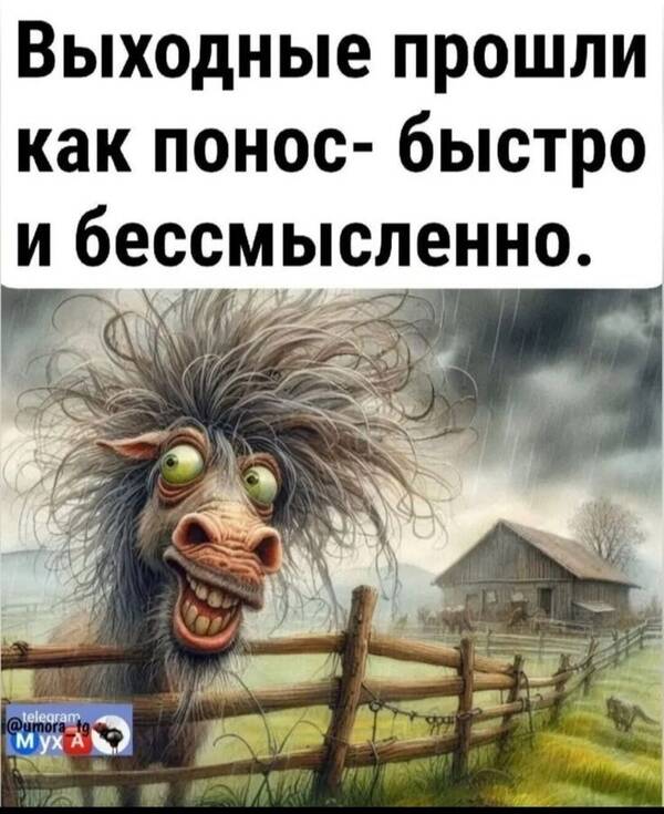 https://upforme.ru/uploads/001b/2e/23/74/t205822.jpg