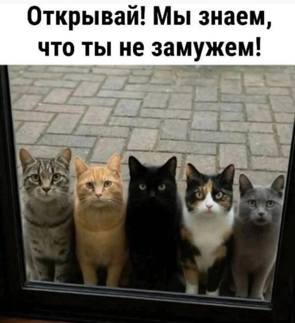 https://upforme.ru/uploads/001b/2e/23/74/t81484.jpg