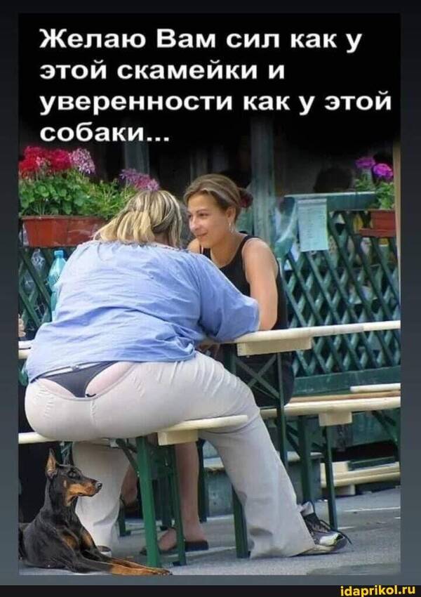 https://upforme.ru/uploads/001b/2e/23/74/t826216.jpg