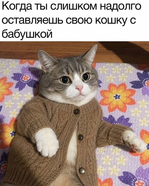 https://upforme.ru/uploads/001b/2e/23/74/t988114.jpg