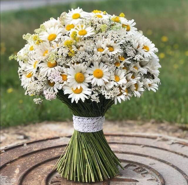 https://upforme.ru/uploads/001b/2e/23/77/851818.jpg