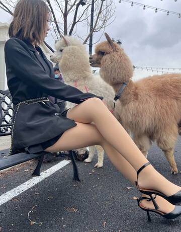 https://upforme.ru/uploads/001b/2e/24/2/t607976.jpg