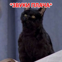 https://upforme.ru/uploads/001b/2e/4a/25/422723.png