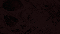 https://upforme.ru/uploads/001b/2e/a2/2/65345.png