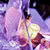 https://upforme.ru/uploads/001b/2f/0d/179/96789.png