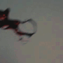 https://upforme.ru/uploads/001b/2f/de/260/732581.gif