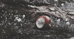 https://upforme.ru/uploads/001b/2f/de/6/239509.gif