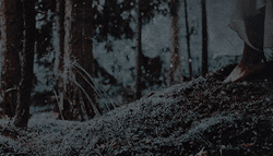 https://upforme.ru/uploads/001b/2f/de/6/950642.gif