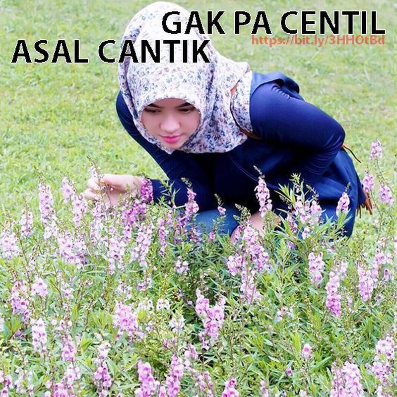 Ferani Dhita Gadis avail hijaber open bo, Soraya cewek cantik berjilbab centil Ferani Dhita Gadis avail hijaber open bo, Soraya cewek cantik berjilbab centil