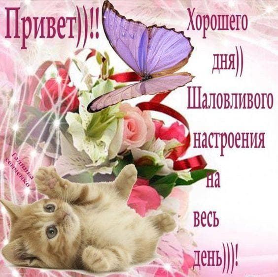 https://upforme.ru/uploads/001b/33/da/4/272934.jpg