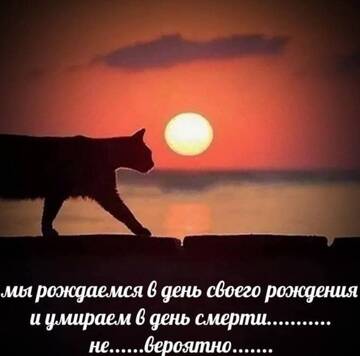 https://upforme.ru/uploads/001b/33/da/4/t925459.jpg
