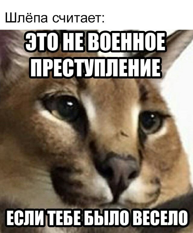 https://upforme.ru/uploads/001b/33/da/51/508907.jpg