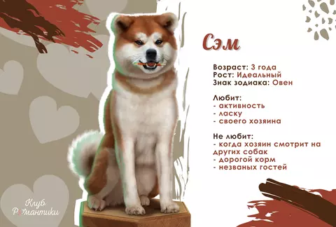 https://upforme.ru/uploads/001b/37/19/4/t191668.webp