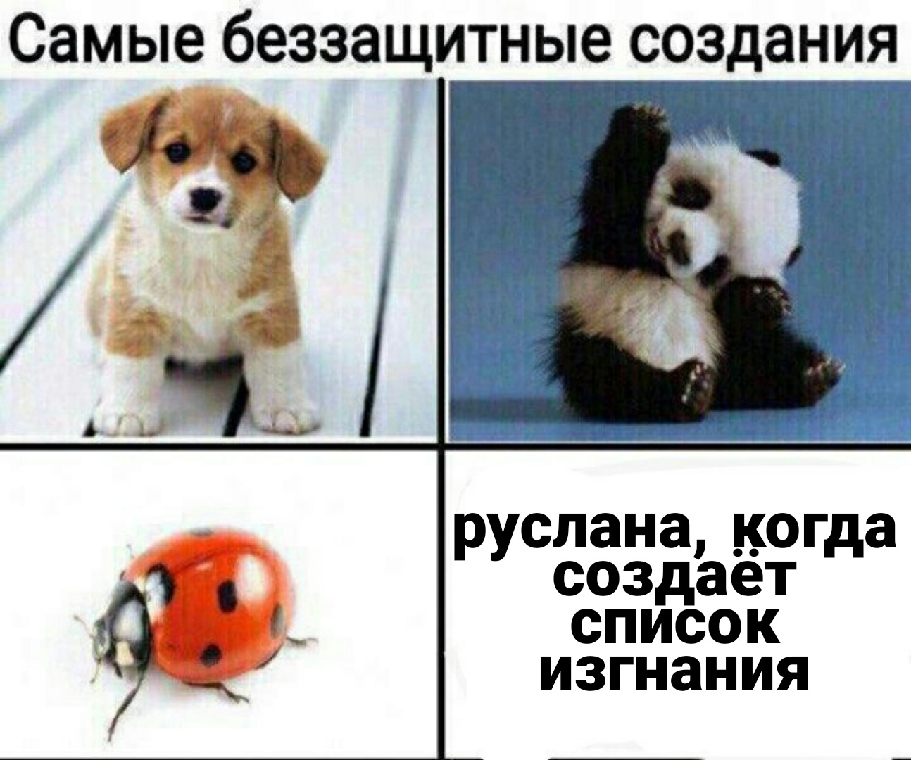 https://upforme.ru/uploads/001b/39/24/27/917148.jpg