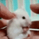 https://upforme.ru/uploads/001b/3c/0a/2/191966.gif