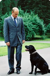 https://upforme.ru/uploads/001b/3f/63/2/t69082.png