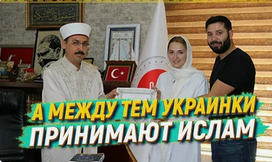 https://upforme.ru/uploads/001b/3f/63/2/t994553.png
