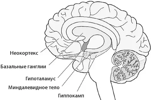 https://upforme.ru/uploads/001b/43/63/2/t337899.webp