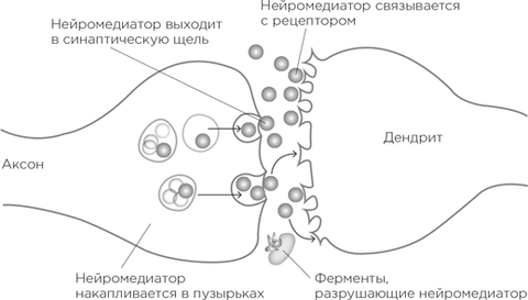 https://upforme.ru/uploads/001b/43/63/2/t737287.png