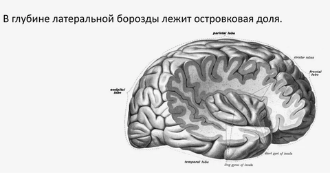 https://upforme.ru/uploads/001b/43/63/2/t947359.png
