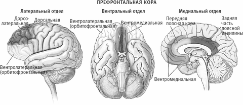 https://upforme.ru/uploads/001b/43/63/2/t987674.png