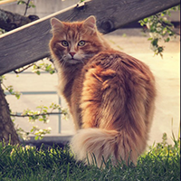 https://upforme.ru/uploads/001b/45/b2/13/648184.png
