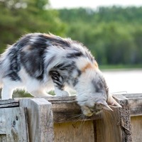 https://upforme.ru/uploads/001b/45/b2/19/t166618.jpg