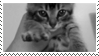 https://upforme.ru/uploads/001b/45/b2/2/137342.gif