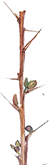 https://upforme.ru/uploads/001b/45/b2/2/217544.png