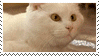 https://upforme.ru/uploads/001b/45/b2/2/302577.gif