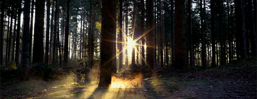 https://upforme.ru/uploads/001b/45/b2/2/31595.gif