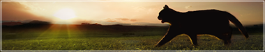 https://upforme.ru/uploads/001b/45/b2/2/456784.png