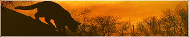 https://upforme.ru/uploads/001b/45/b2/2/752277.png