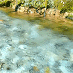 https://upforme.ru/uploads/001b/45/b2/2/800291.gif
