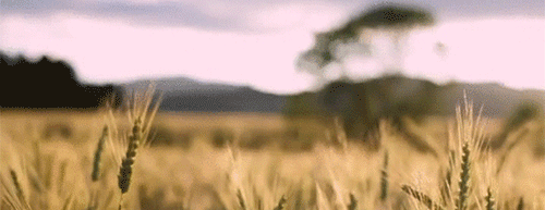 https://upforme.ru/uploads/001b/45/b2/2/816777.gif