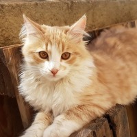 https://upforme.ru/uploads/001b/45/b2/23/t489553.jpg